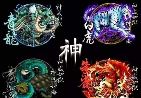 玄武顏色